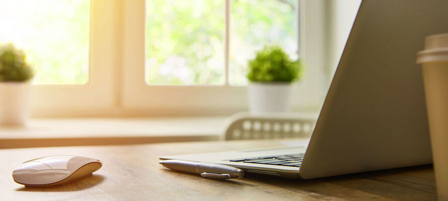 Linea Natura – Arbeitszimmer